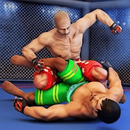 mma综合格斗手游