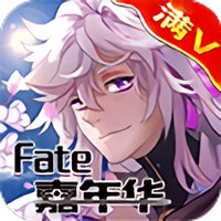 fate嘉年华国服