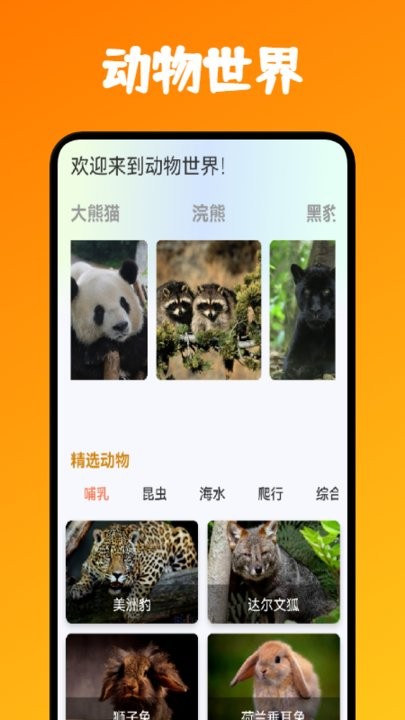 动物园达人手机版下载