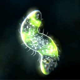 bionix孢子的开始汉化版
